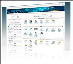 Dedicated Web Hosting Server with Cpanel